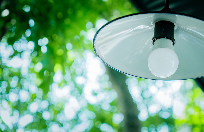 Low angle view of light bulb against trees
