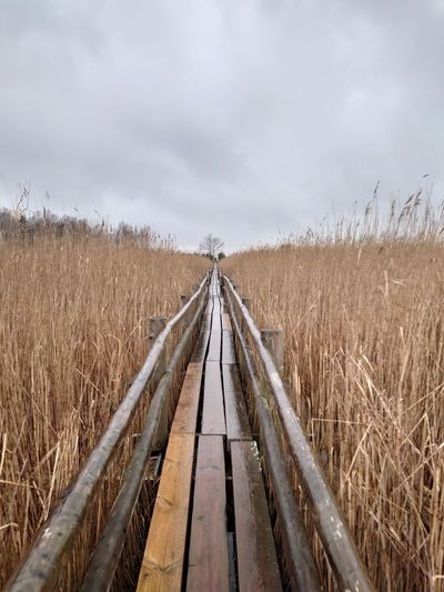 A path over a lake
