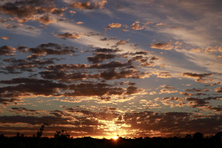 Low angle view of silhouette trees against sky during sunset