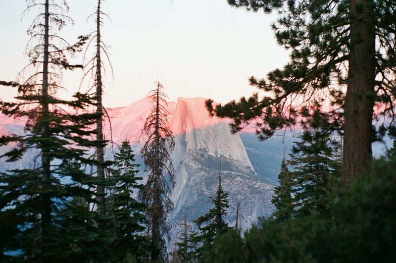 Panoramic view of half dome and pine trees against sky during sunset in yosemite national park, ca