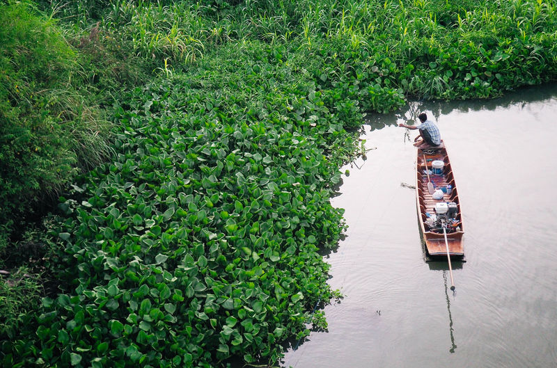 High angle view of man sitting on boat in river by plants