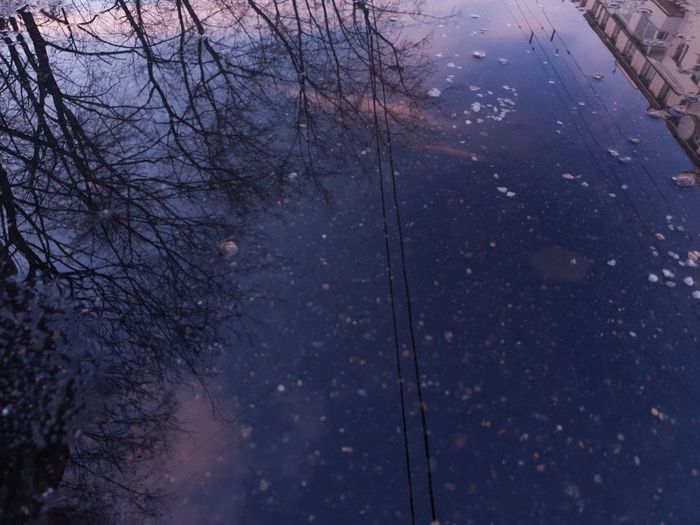 Reflection of bare trees in puddle during winter