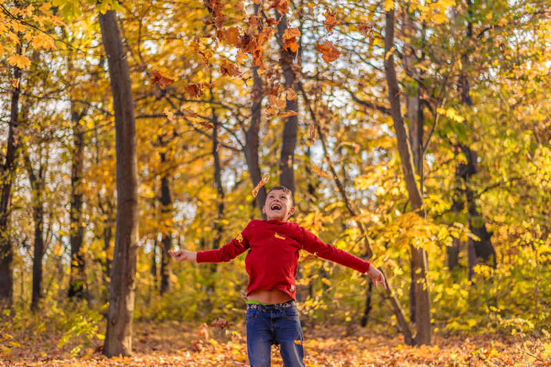 Young guy in red laughs in the autumn forest and bounced up throws yellow leaves