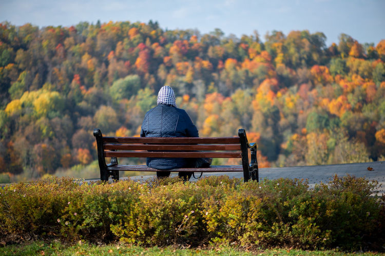 Rear view of senior woman sitting on bench in park during autumn