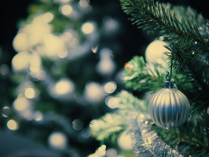 Close-up of christmas ornament on tree