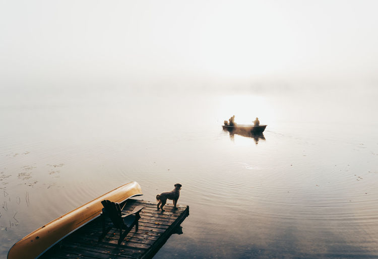 Two people in fishing boat in the fog with dog watching from the dock.