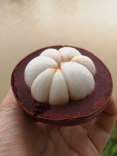 Close-up of hand holding fruit