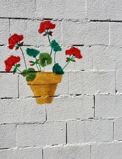 Close-up of flowers on wall