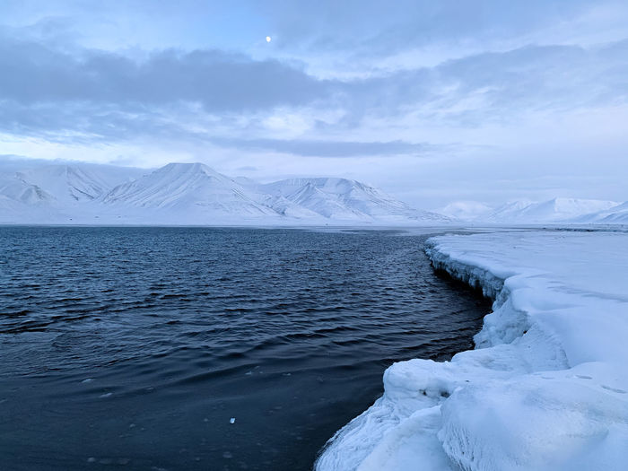 Svalbard and  jan mayan coast