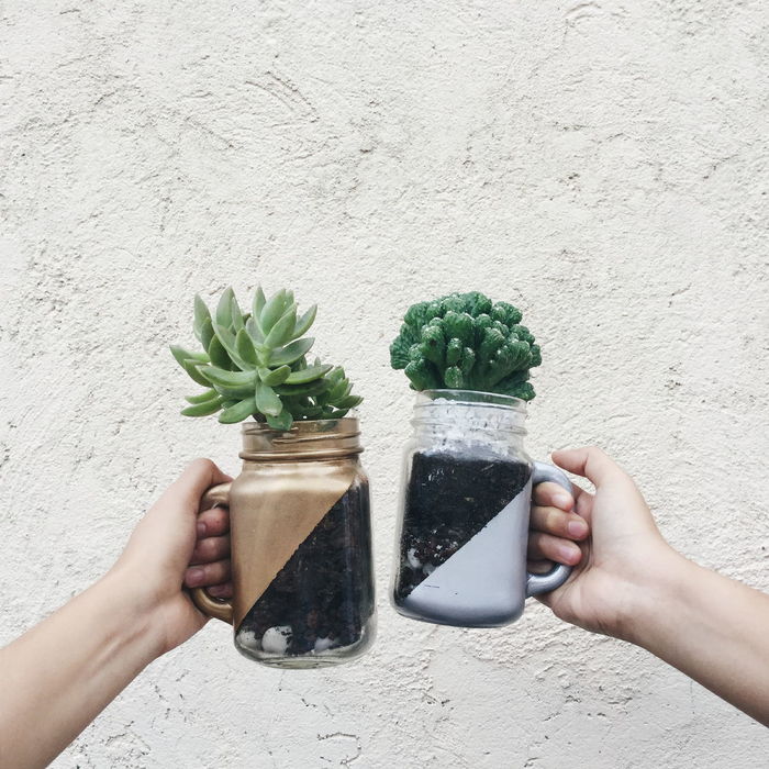 Hands holding plants in glass jars