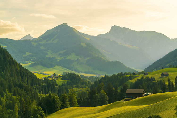 View of mountains and fields in summer in bern canton