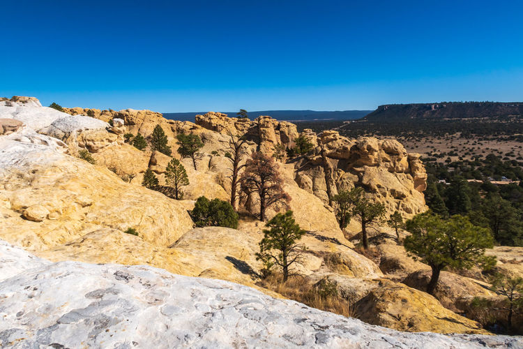 Landscape of yellow and white rock formations and trees at el morro national monument in new mexico