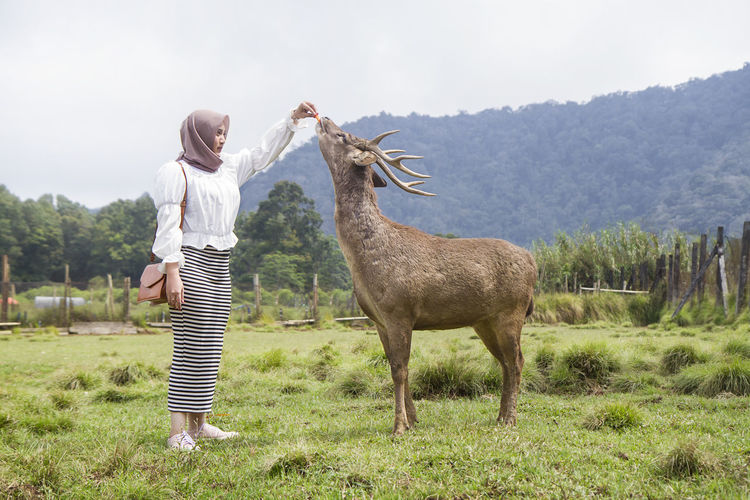 Beautiful asian girl playing with the deer or rusa timorensis at ranca upas, ciwidey, indonesia