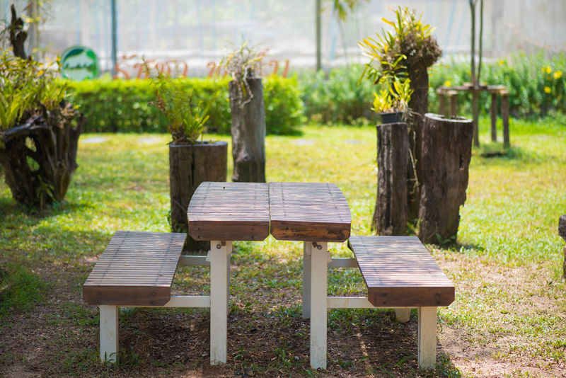 50 Park Bench Pictures Hd Download Authentic Images On Eyeem