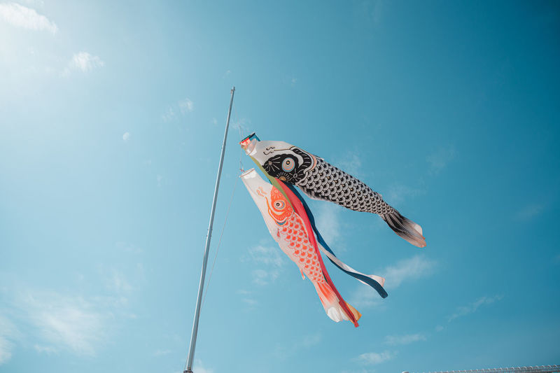 Low angle view of fish in mid-air against sky
