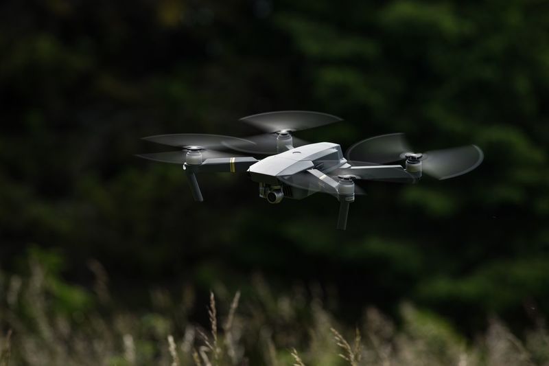 Close-up of drone against grass