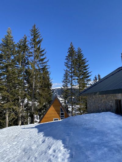 Snow covered houses and trees against clear blue sky