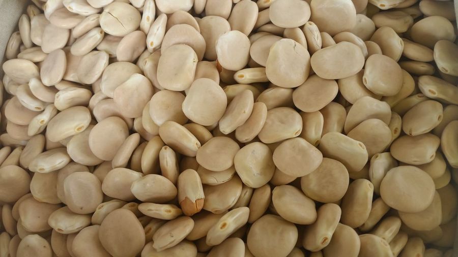 Full frame shot of lupin beans