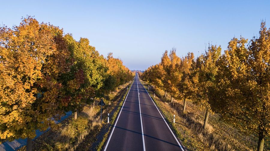 Scenic view of trees against clear sky during autumn