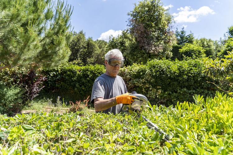 Senior man pruning hedge with trimmer