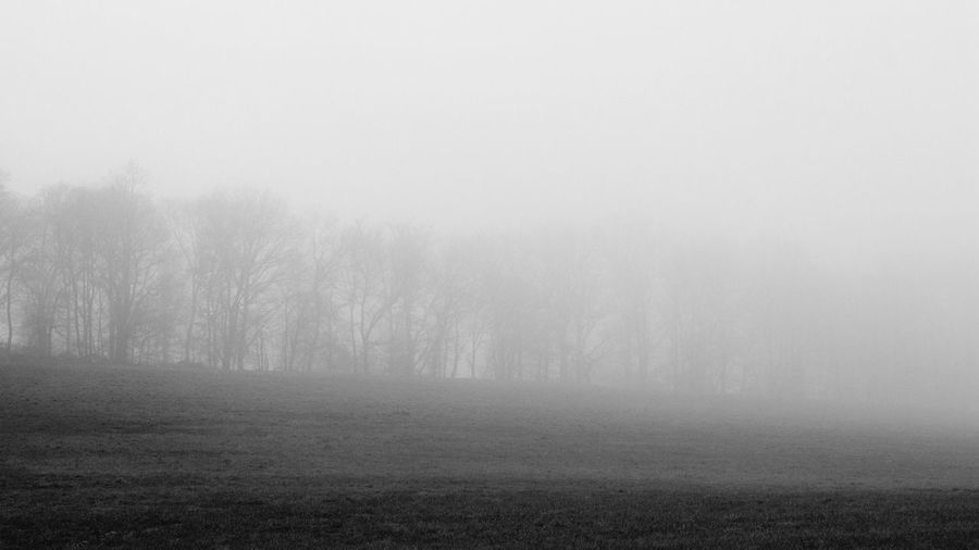 Scenic view of landscape against sky during winter