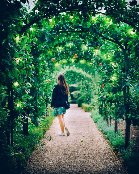 Rear view of woman walking on footpath amidst trees