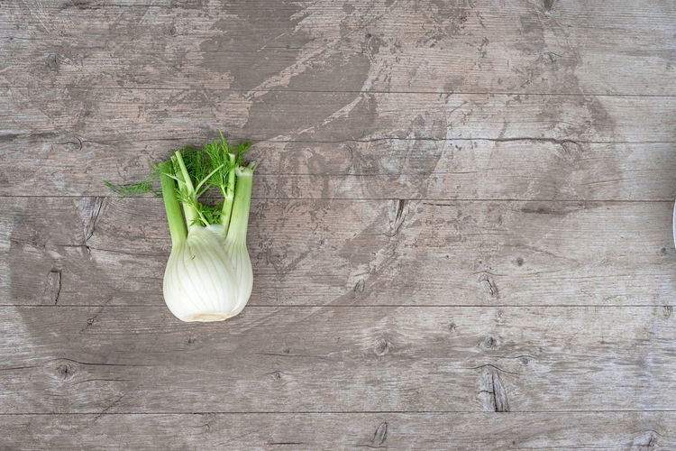 Directly above shot of fennel bulb on wooden table