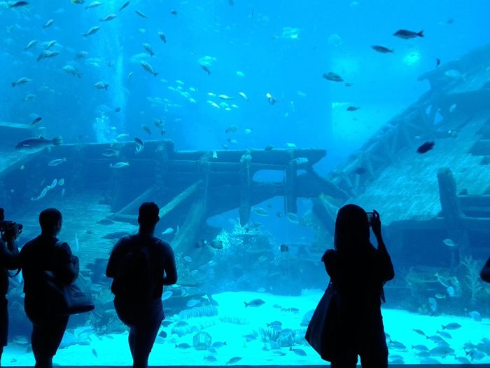 People in aquarium