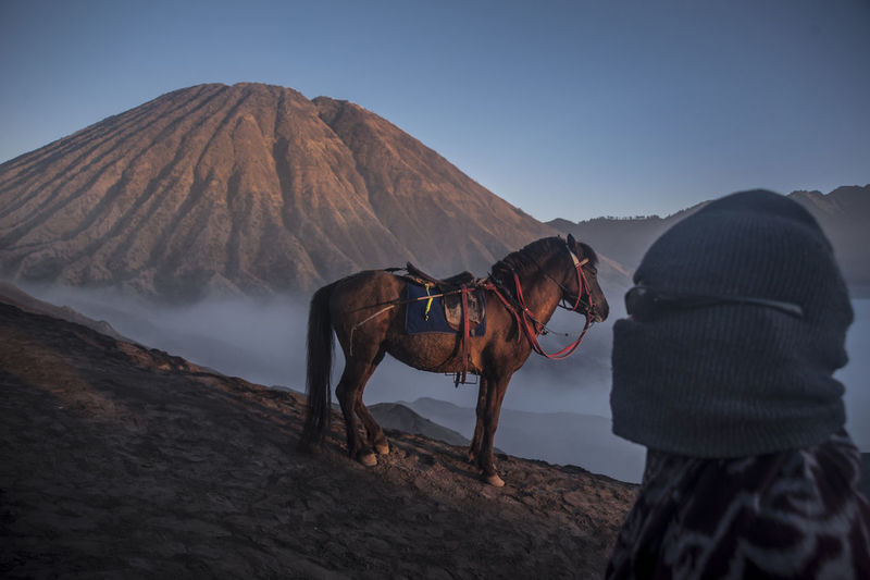 Close-up of man in warm clothes with horse in background on mountain
