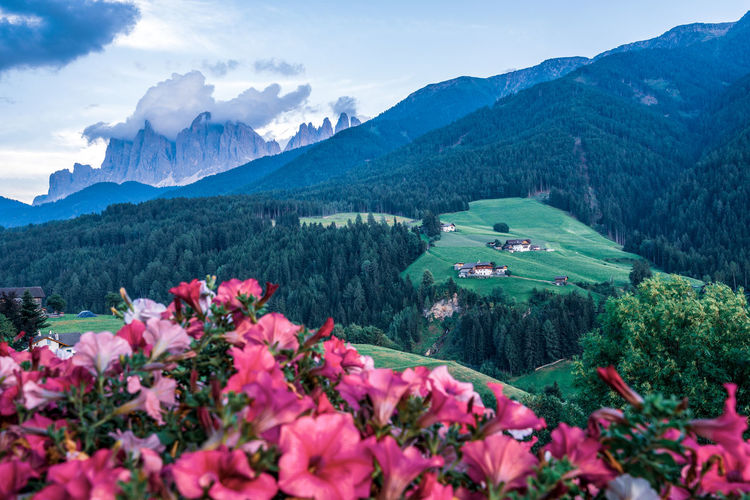 The odle mountain peaks in the dolomites in italy. the villnößtal with a view of the geisler.