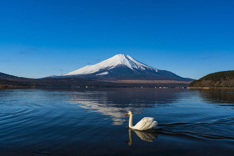 Scenic view of lake and snowcapped mountains against blue sky