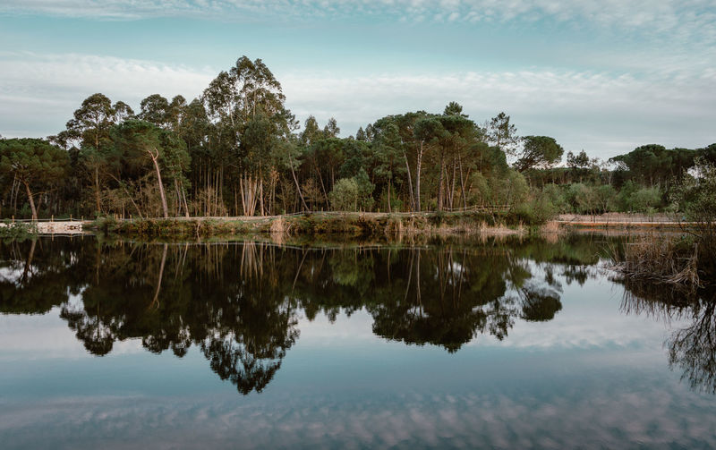 Reflection of trees in lake against sky
