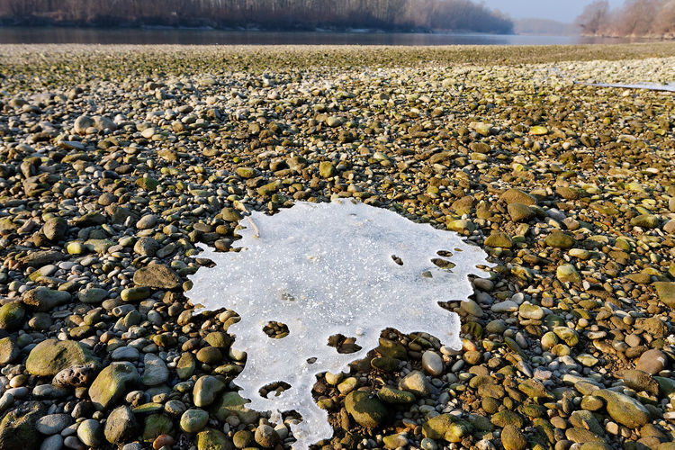 The ice on the banks of the drava river
