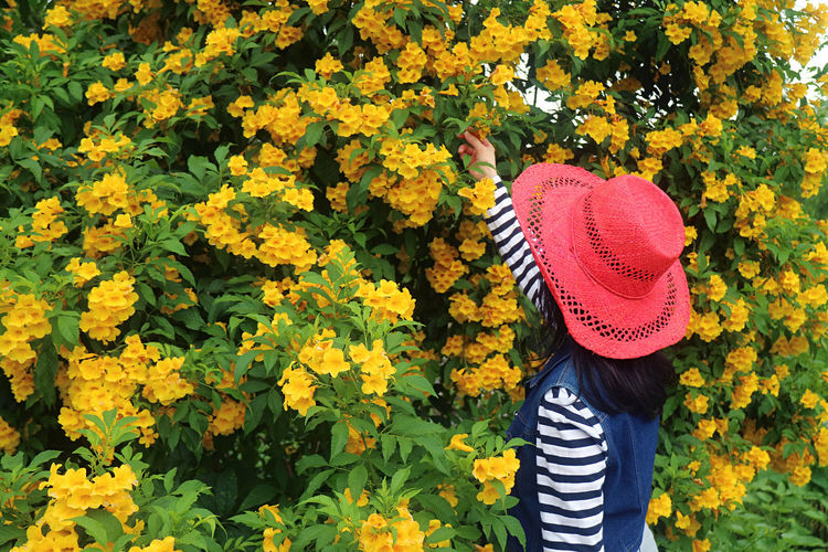 Woman wearing hat holding flower on plant outdoors