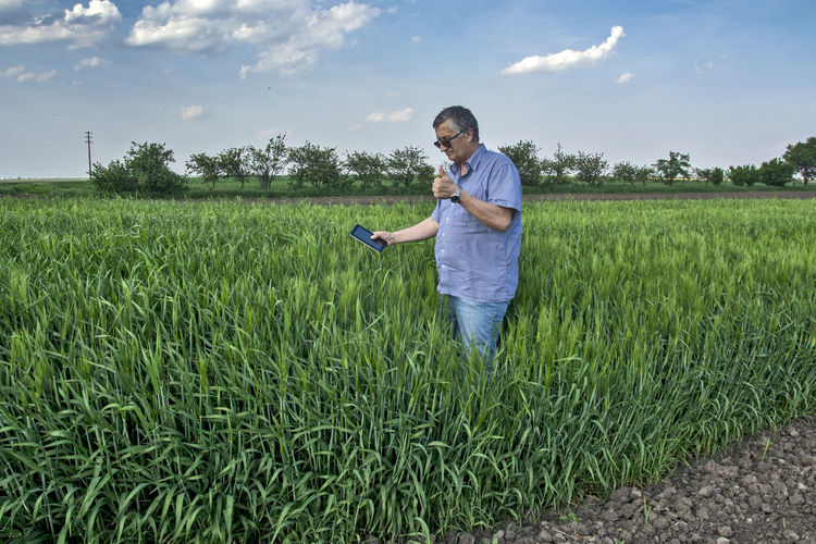 Senior man holding smart phone examining crops at farm