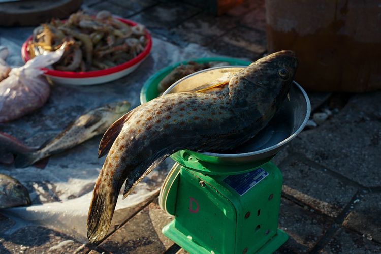 Fresh fish on scales, fish market, vietnam