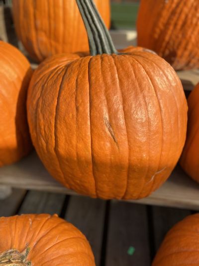 Close-up of pumpkin for sale at market