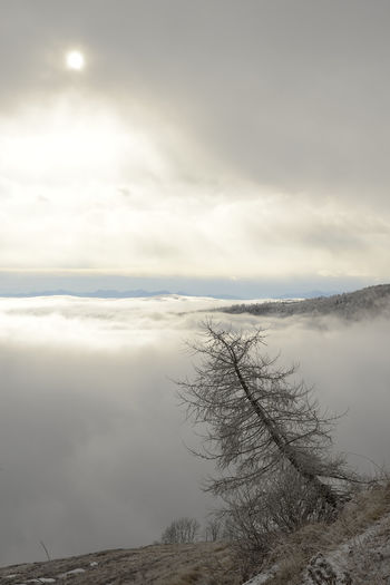Scenic view of snow covered landscape against sky