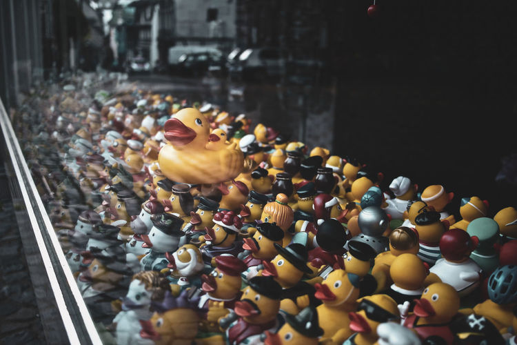Close-up of rubber ducks for sale in store seen through window