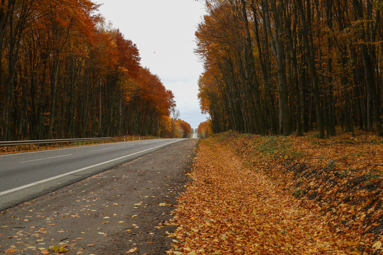 Road amidst trees against clear sky during autumn