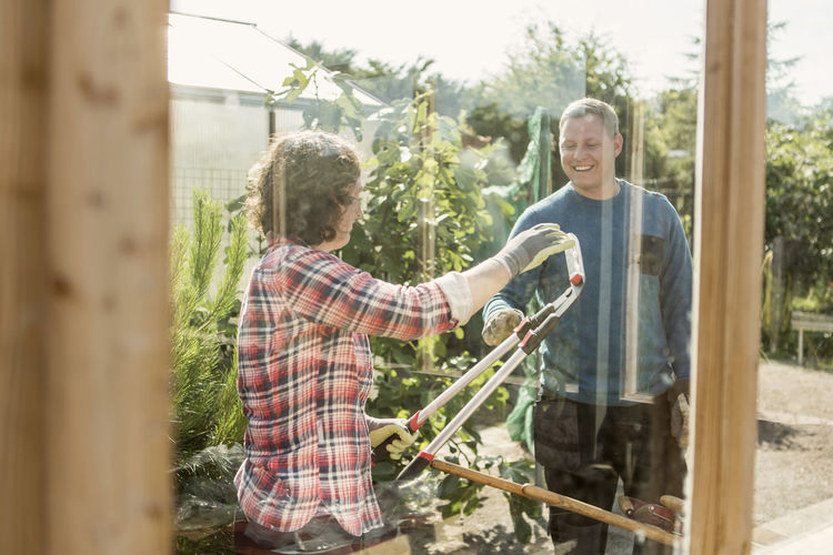 Happy couple discussing over pruning shears seen through greenhouse window