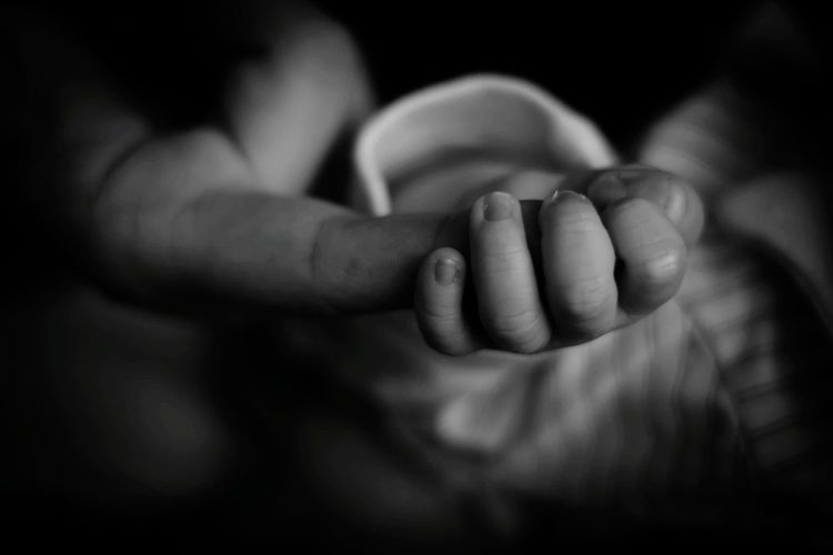 Close-up of baby holding finger