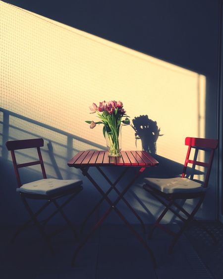 Empty chairs and potted plant