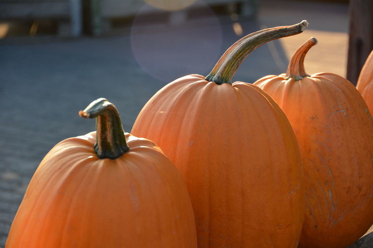 Close-up of pumpkin at market stall for sale