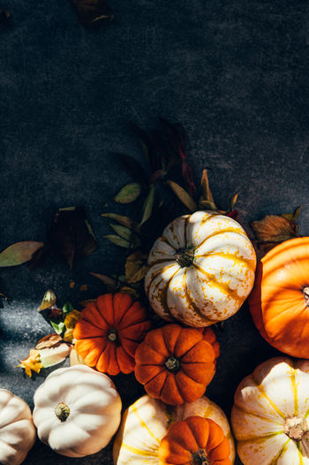Pile of different pumpkins with strong shadows. halloween or thanksgiving holiday backgrounds