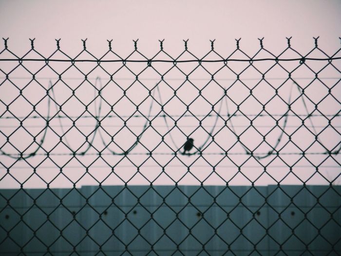 Chainlink fence