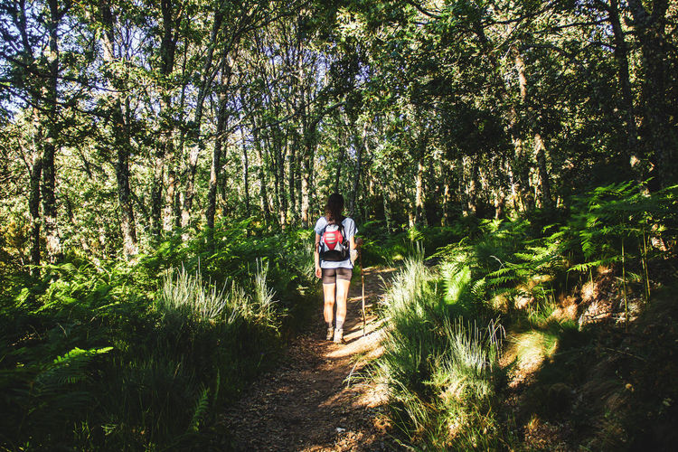Woman with backpack walking on a path in the middle of the forest