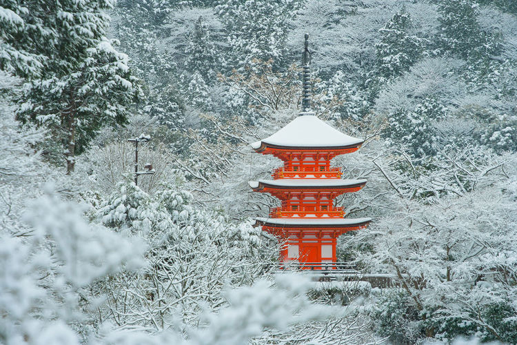 Temple amidst snow covered trees