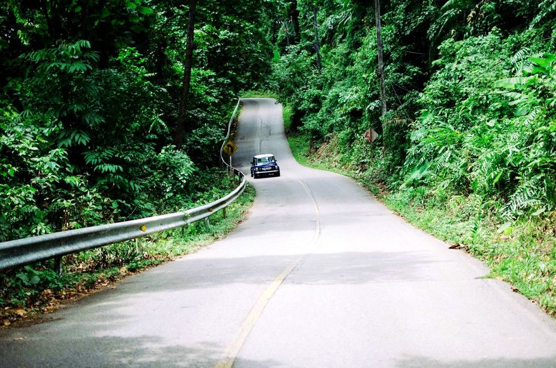 Road passing through forest
