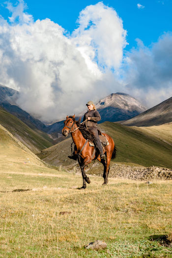 Horses on field against sky